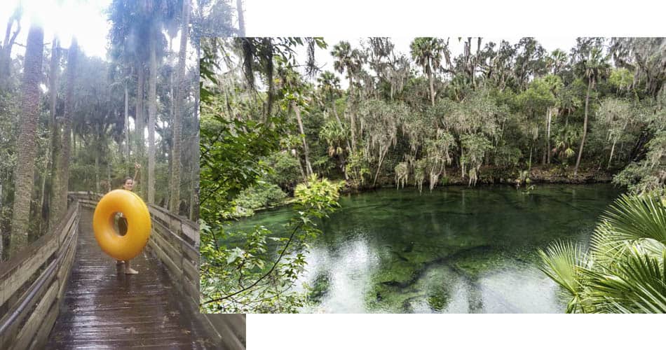 Atividades aquáticas no Blue Spring State Park perto de Orlando