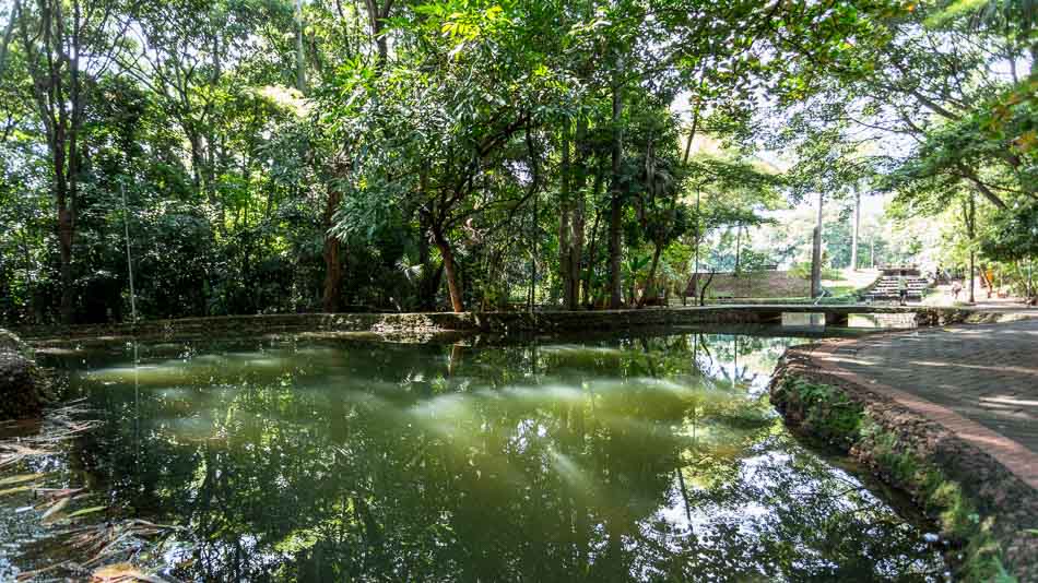 O que fazer em Goiânia: Bosque dos Buritis