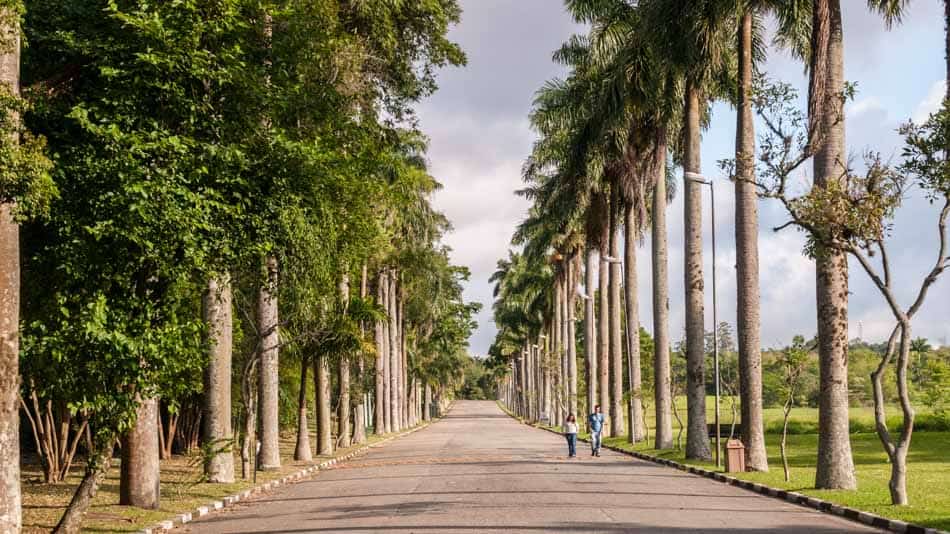 Jardim Botânico de SP