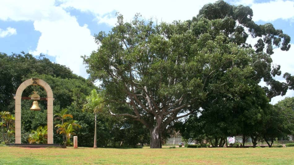 Parque da Juventude, um dos melhores parques de SP