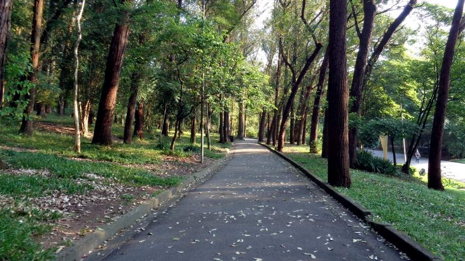 Parque da Aclimação em SP