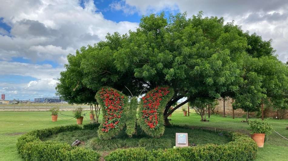 Jardim Encantado no Boulevard Laçador