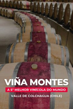 Saiba como é a visita à Vinícola Montes (Viña Montes), a melhor vinícola do Chile em 2022. Onde fica, como chegar, quanto custa e muito mais!