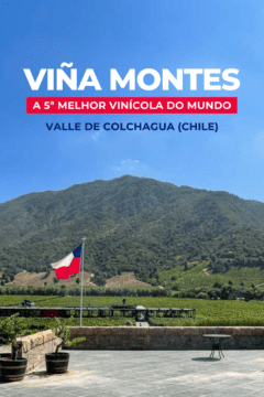 Saiba como é a visita à Vinícola Montes (Viña Montes), a melhor vinícola do Chile em 2022. Onde fica, como chegar, quanto custa e muito mais!