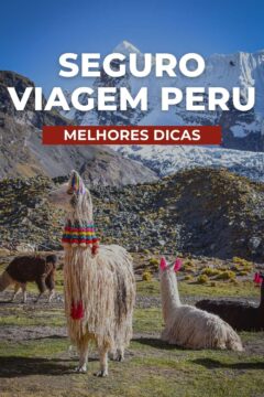 Saiba qual é o melhor seguro viagem Peru com cobertura COVID-19, um investimento essencial e recomendado para visitar o país.