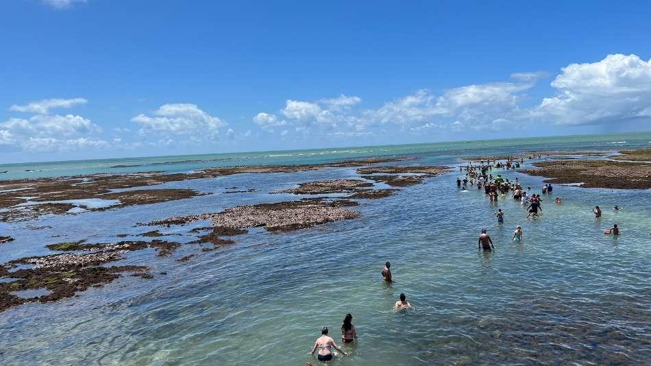 O que fazer em João Pessoa: Piscinas Naturais de Picãozinho