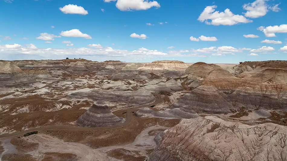 Uma das paisagens do Petrified Forest National Park, no Arizona