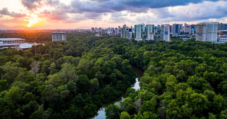 O que fazer em Fortaleza além das praias: visite o Parque do Cocó