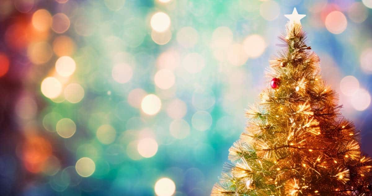 Qual é a origem da árvore de Natal?