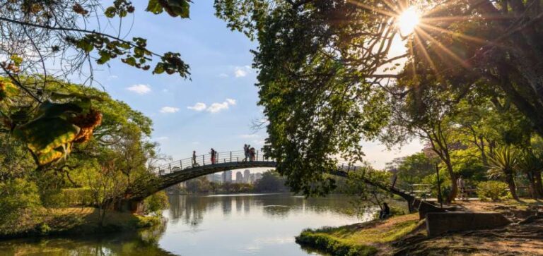 15 lugares em São Paulo para visitar nas férias de janeiro: opções gratuitas e acessíveis!