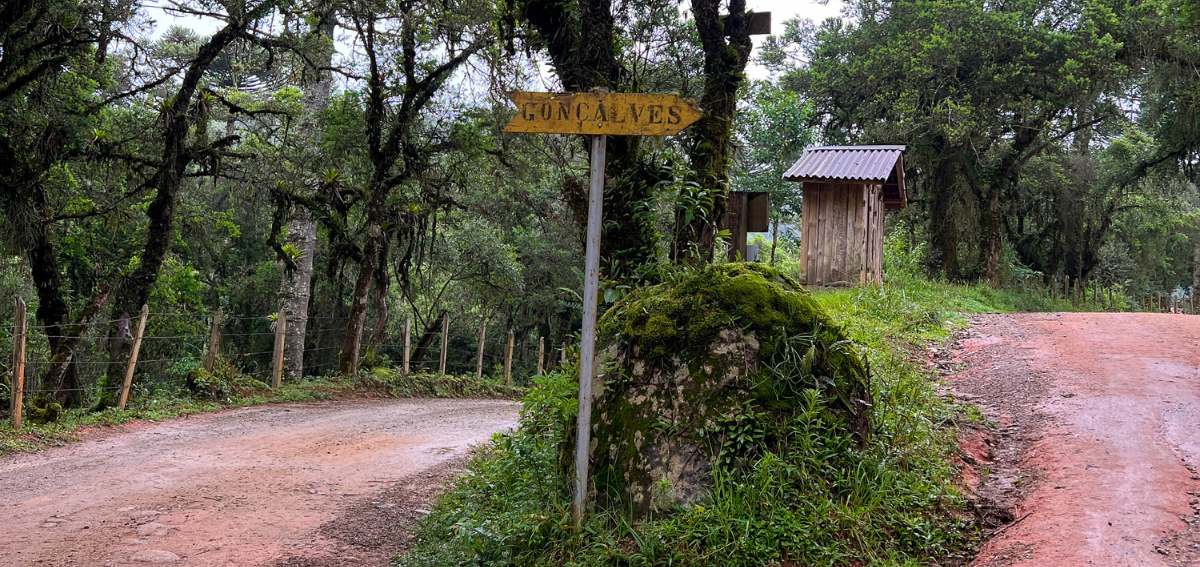 Estrada de terra em Gonçalves