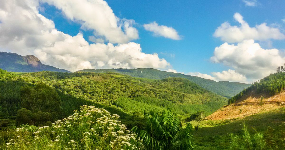 Paisagem de inverno em Monte Verde Minas Gerais